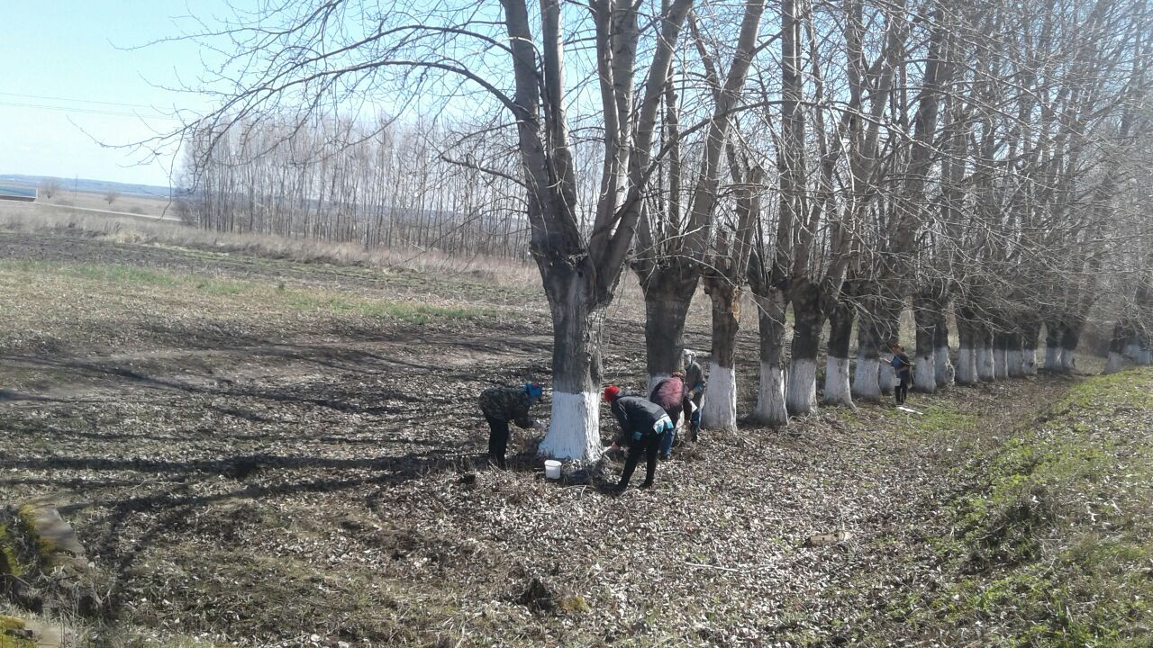 Вчера и в городе Мензелинске, и в деревне Коноваловка, и в частных подворьях продолжалось благоустройство территорий