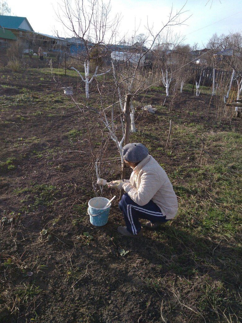 Вчера и в городе Мензелинске, и в деревне Коноваловка, и в частных подворьях продолжалось благоустройство территорий