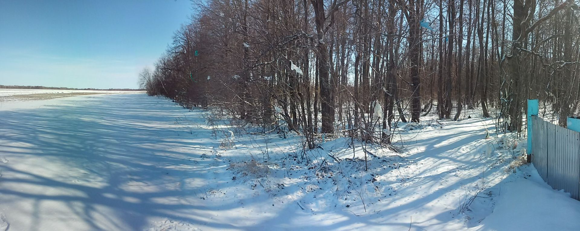 Леса около Мензелинска завалили мусором