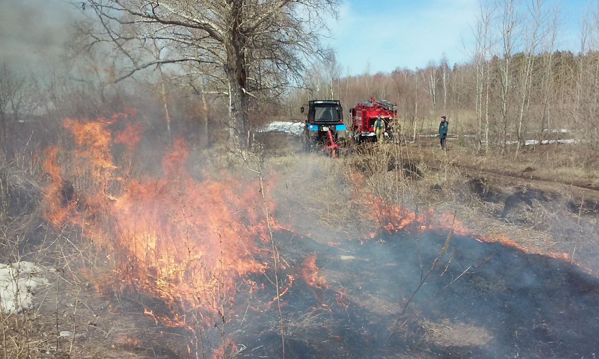 Пал сухой травы запрещен законом