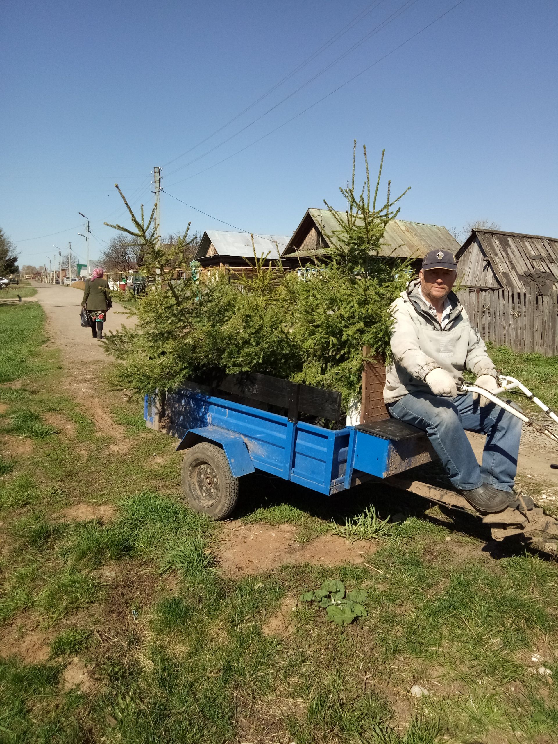 Огород подождет, решили горожане, и все вышли на субботник