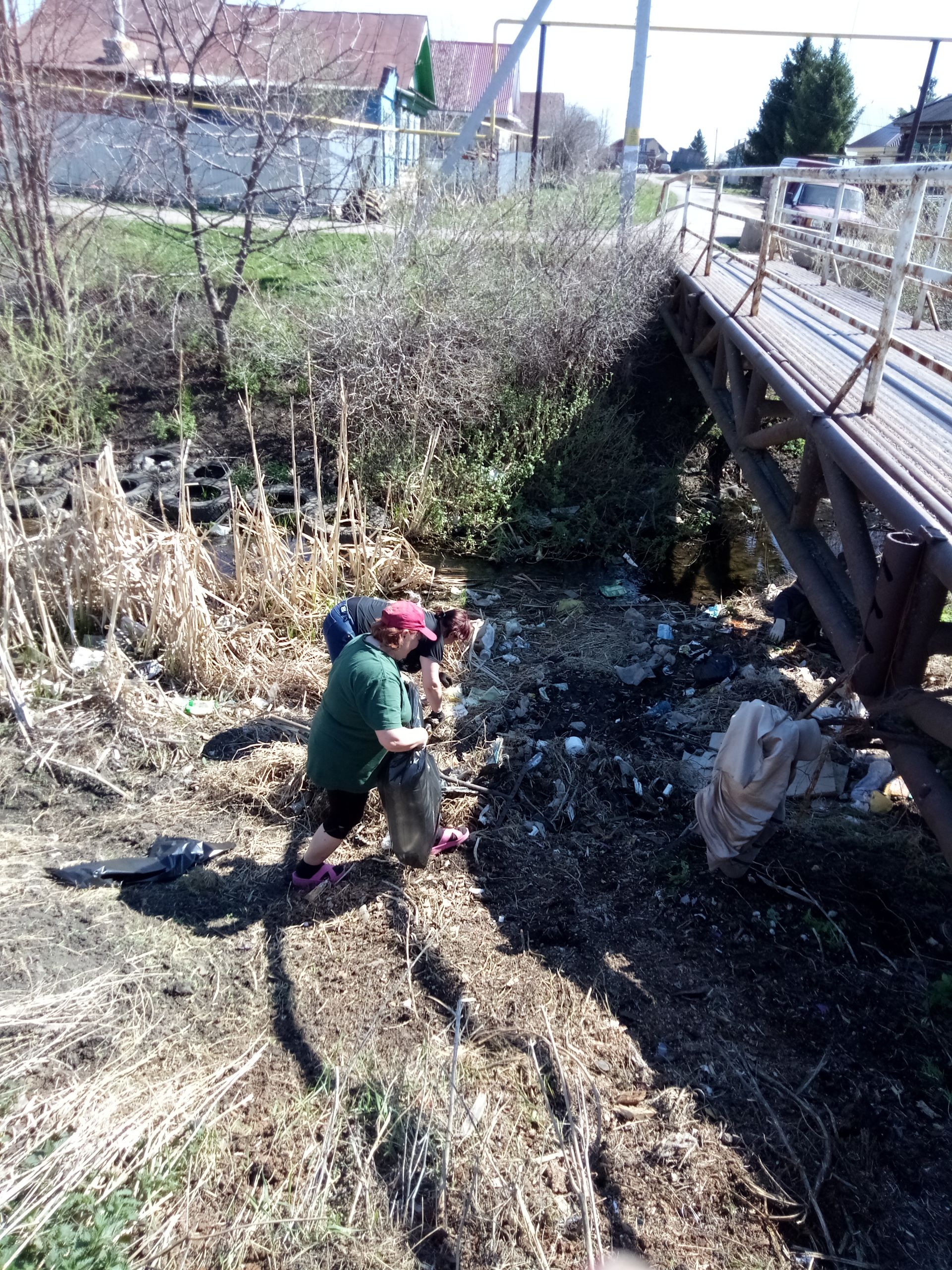 Огород подождет, решили горожане, и все вышли на субботник