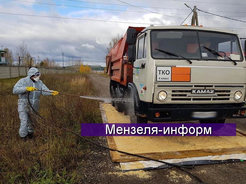 В Мензелинске установлен карантин