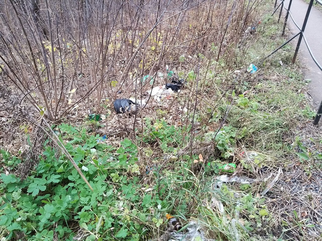 В редакцию пришло сообщение о том, что вдоль пешеходной дорожки между двумя поселками завалено мусором