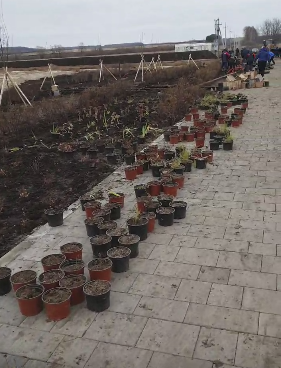 В Мензелинске продолжается благоустройство набережной