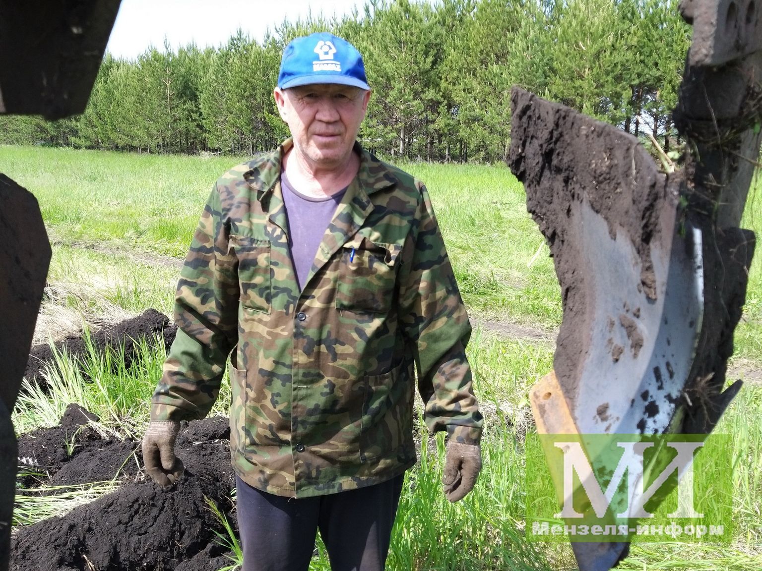 Мензелинские поля обещают хороший урожай, но вредители не спят