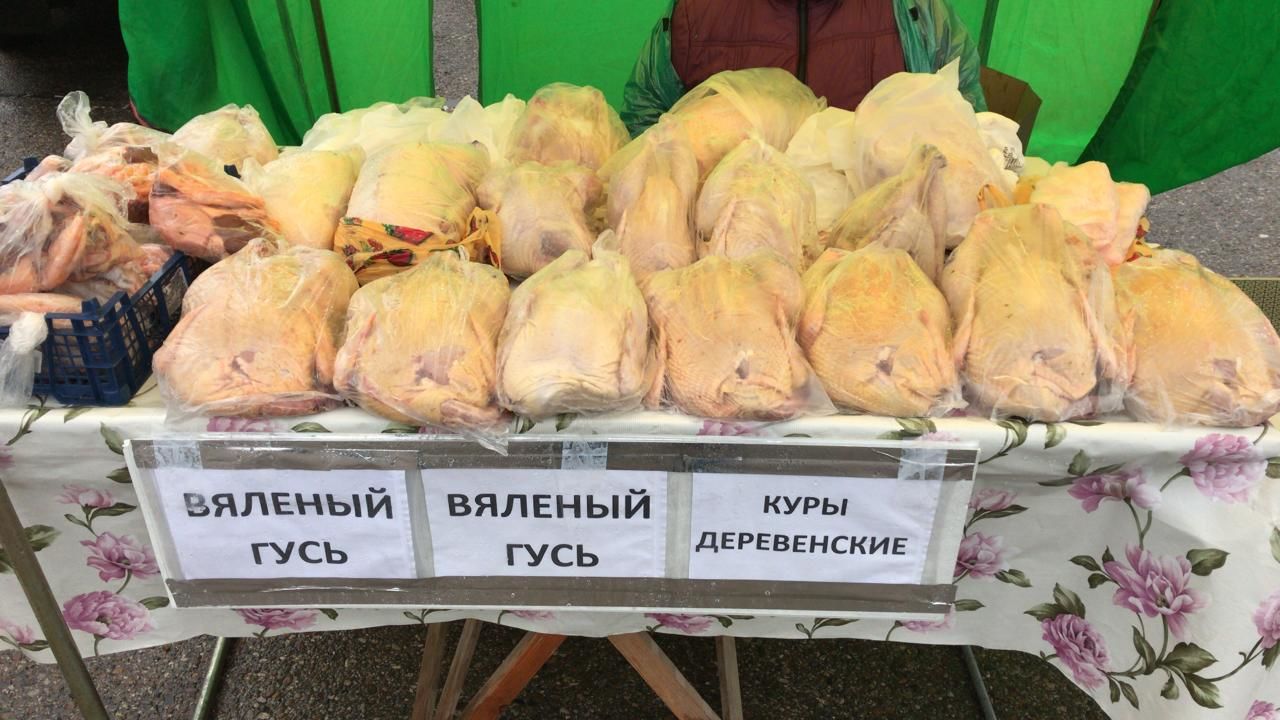 В хозяйстве одного из фермеров Муслюмовского района обнаружен птичий грипп