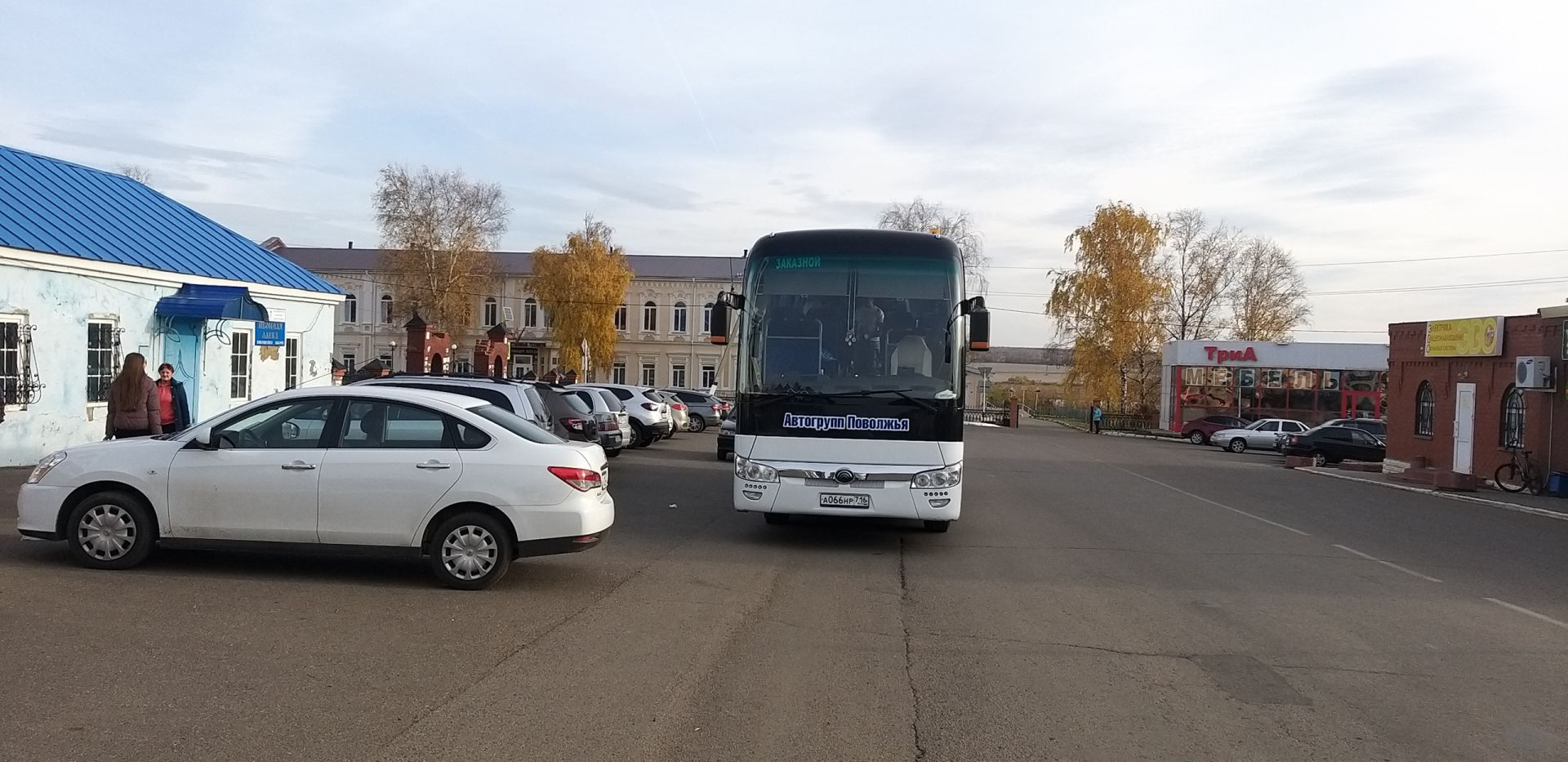 Количество деревьев в Мензелинске увеличилось еще на 100