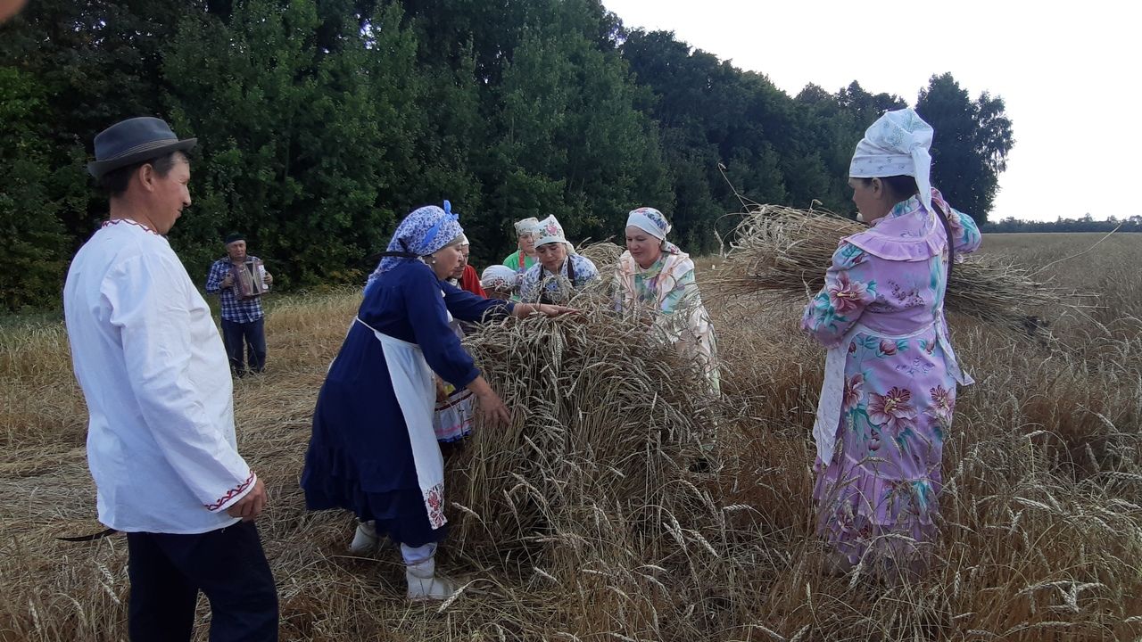 Праздник Первого Снопа прошёл в селе Подгорный Байлар