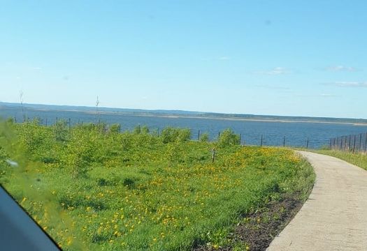 В Мелькене растет яблоневый сад