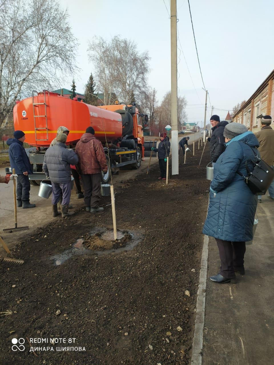 В Мензелинске посадили рябины