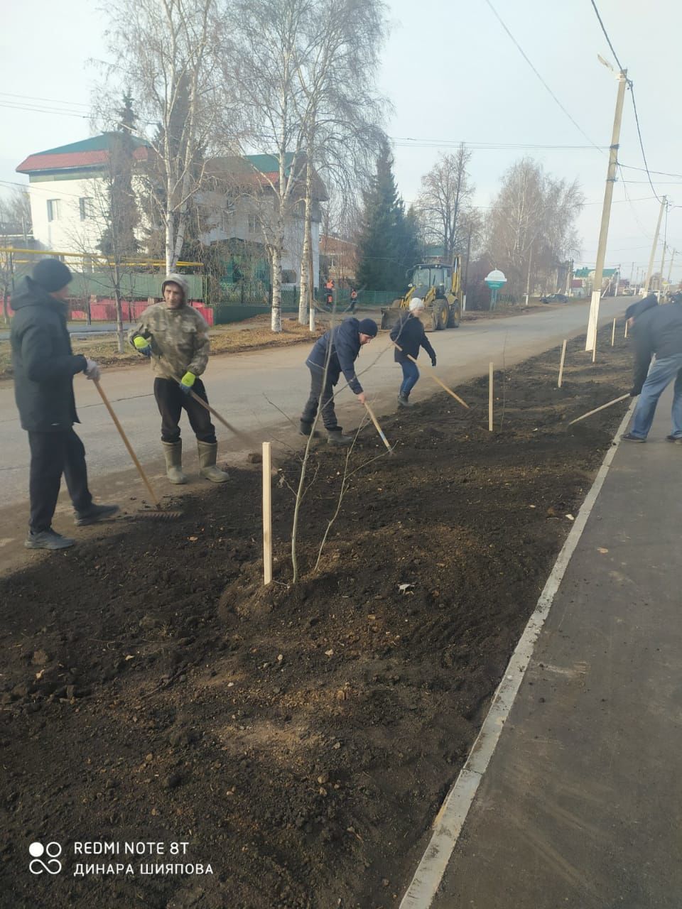 В Мензелинске посадили рябины