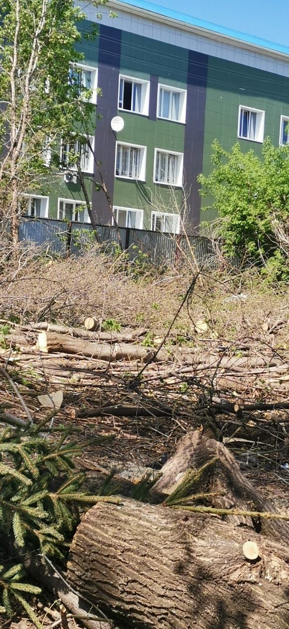 Кому нужны дрова, забирайте, в больничном саду