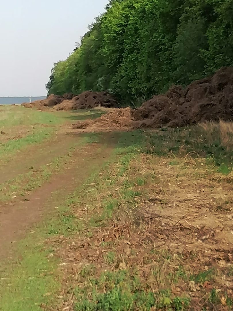 В Мензелинском районе старое сено спрятали в лесу