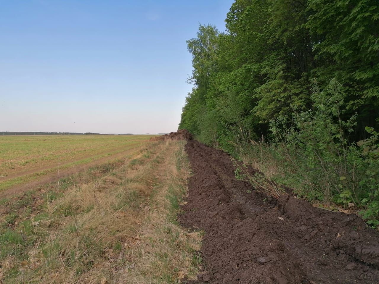 В Мензелинском районе старое сено спрятали в лесу