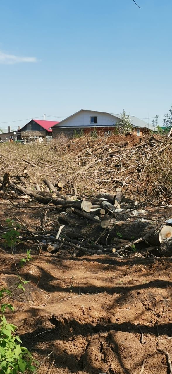 Кому нужны дрова, забирайте, в больничном саду