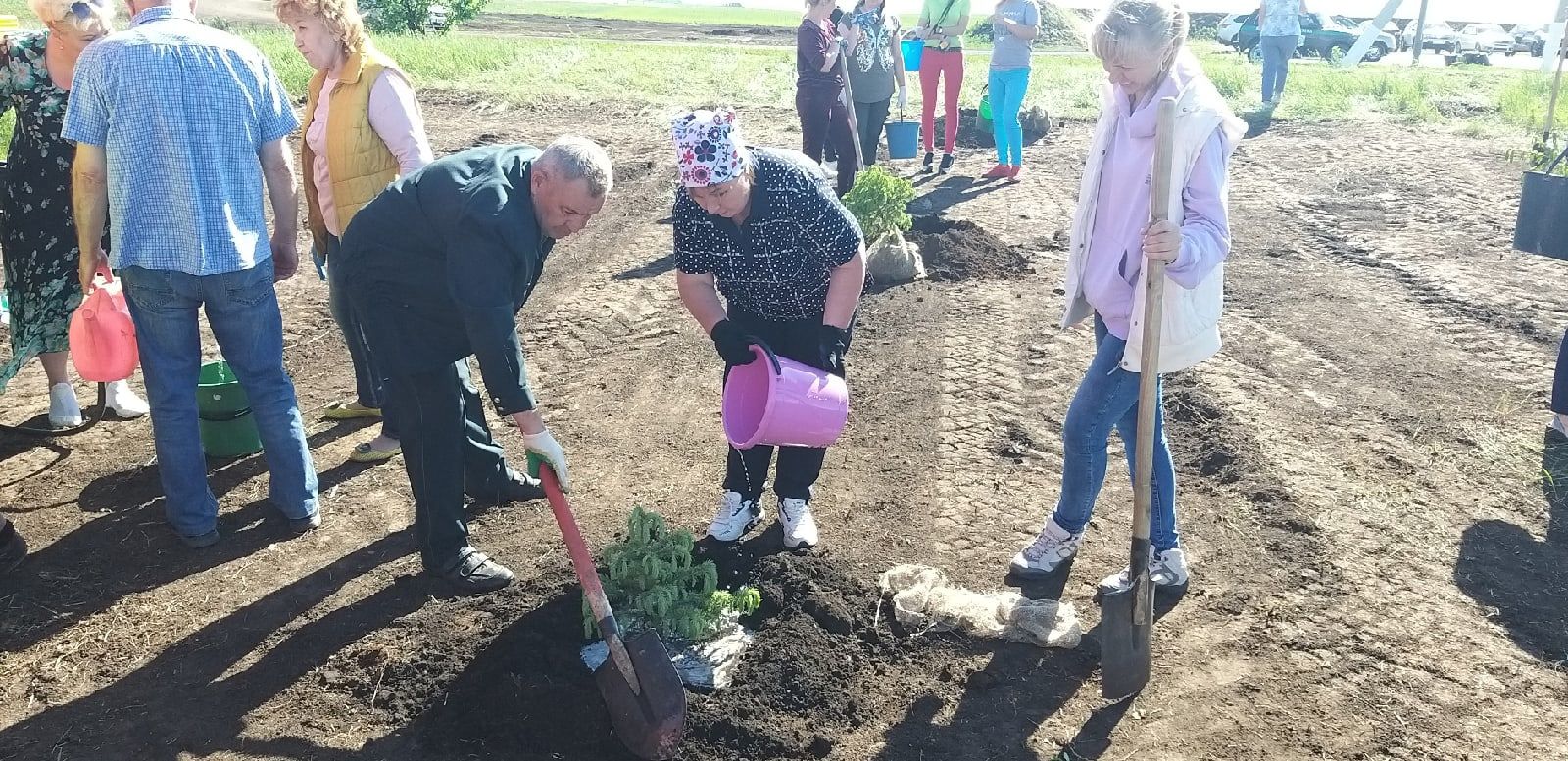 Администрация района и Мензелинское лесничество работают в тесном сотрудничестве