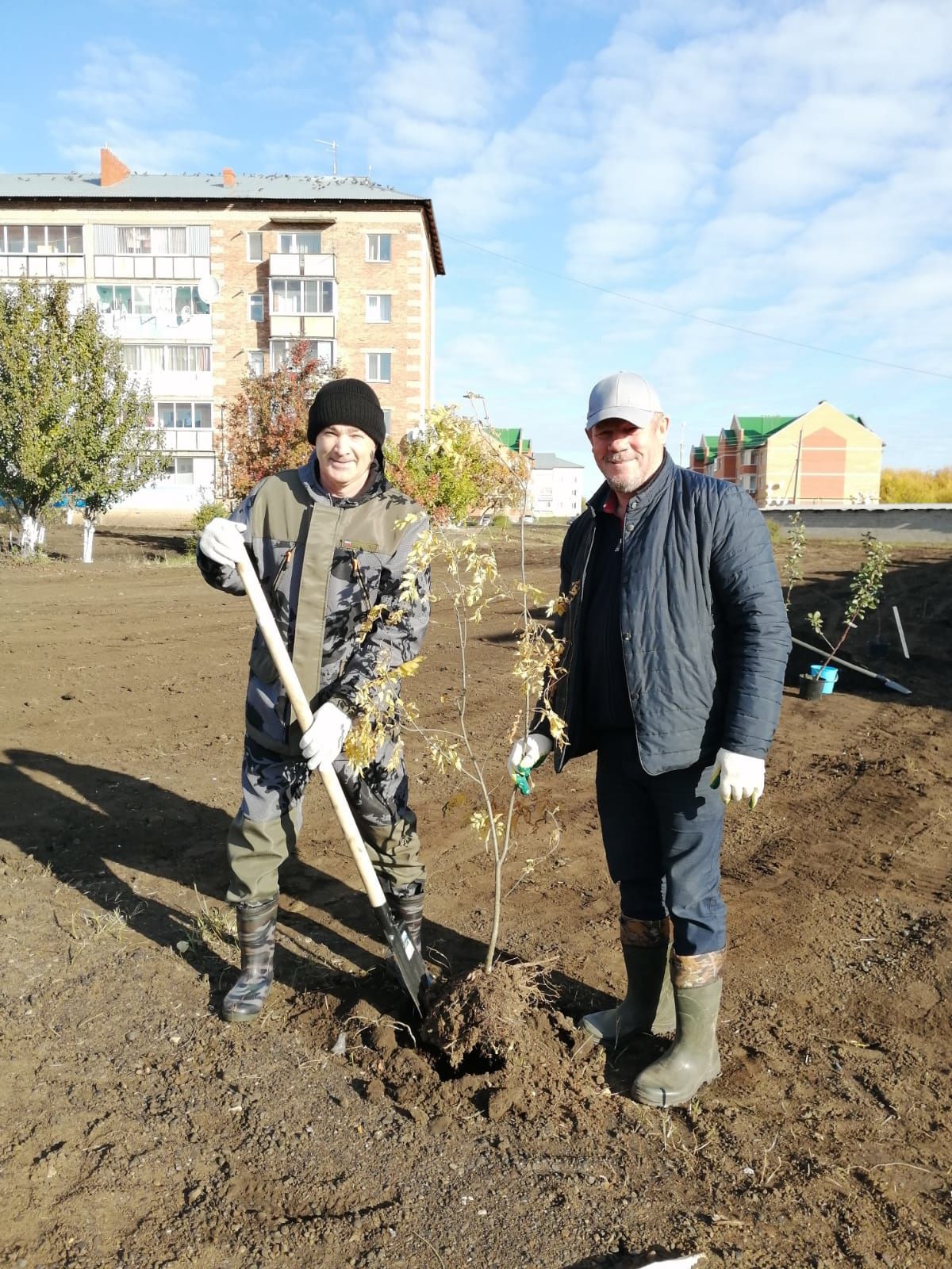 В Мензелинске возле многоквартирных домов посадили деревья