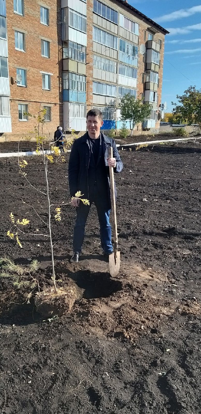 В Мензелинске возле многоквартирных домов посадили деревья