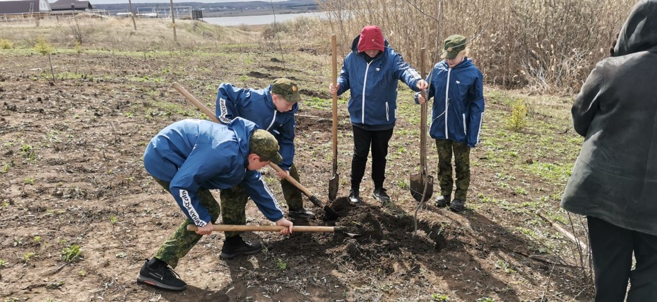 В Мензелинске приступили к посадке деревьев в рамках акции "Сад памяти"