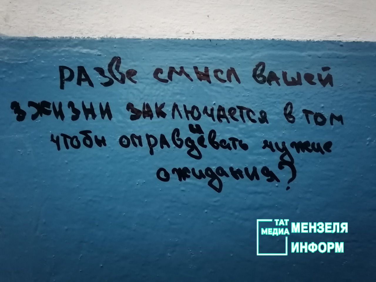 Подъезды с кошками в Мензелинске означают неуважение к соседям