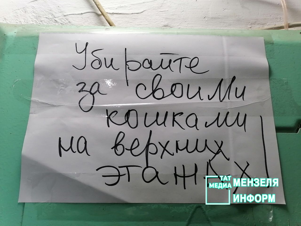 Подъезды с кошками в Мензелинске означают неуважение к соседям