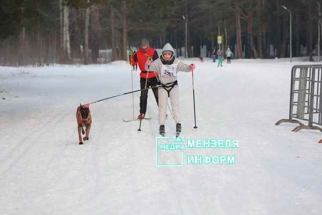 Спортсменка из Мензелинска Валерия Пузынина со своим питомцем Фурией заняли 1 место на гонках с собаками