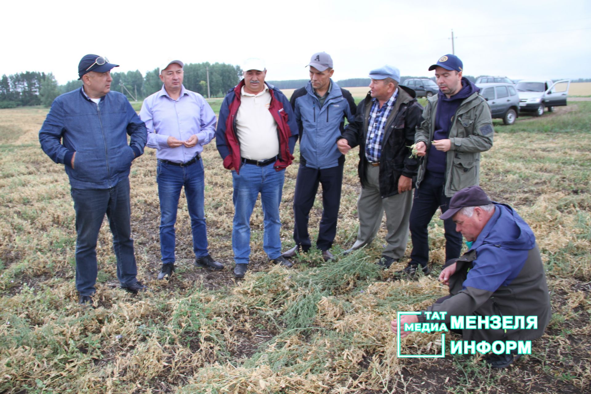 Глава Мензелинского района осмотрел поля