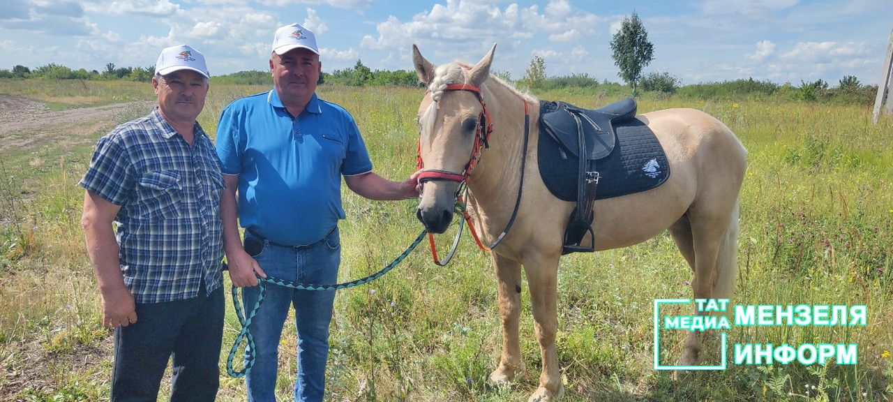 Татарские кони проскакали по Мензелинской земле