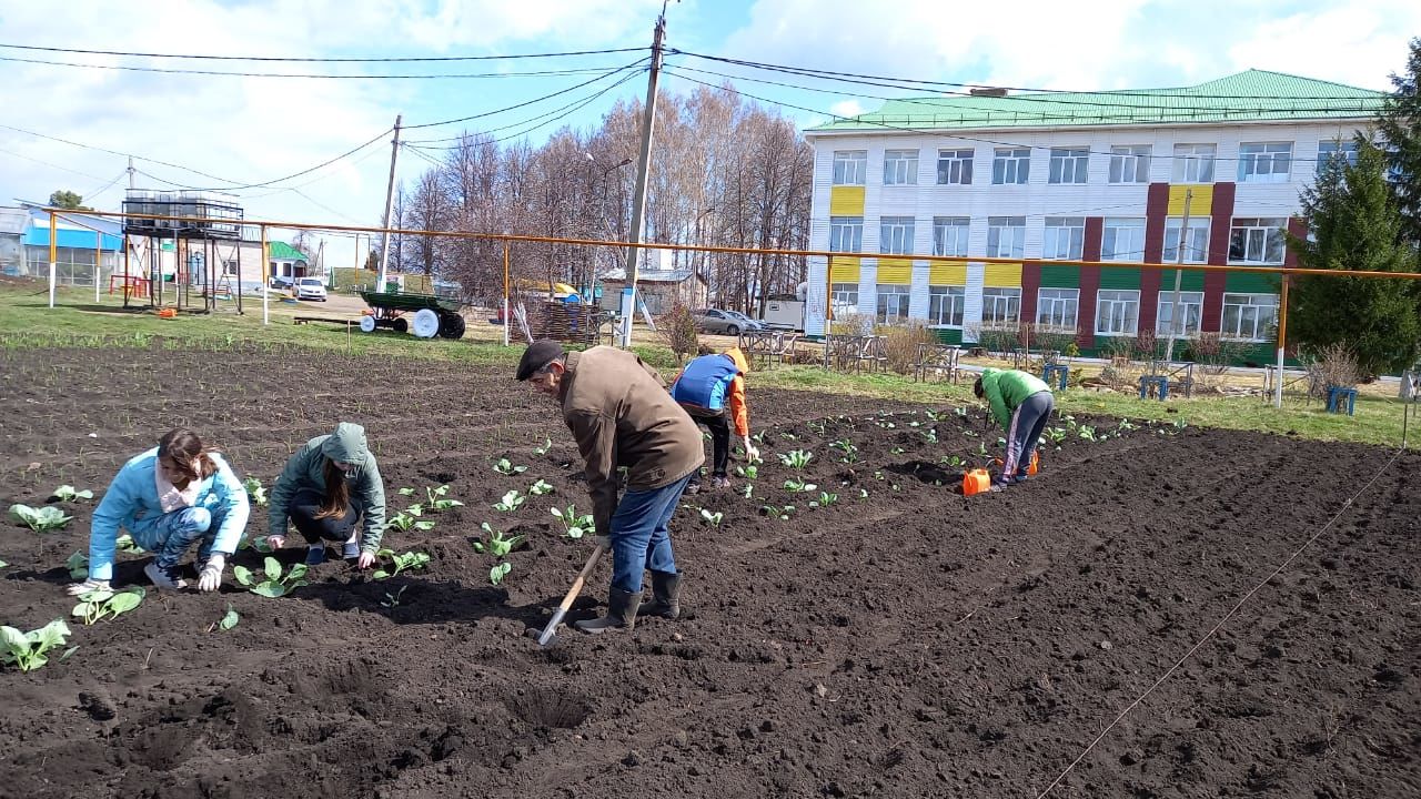 В Мензелинске продолжаются субботники