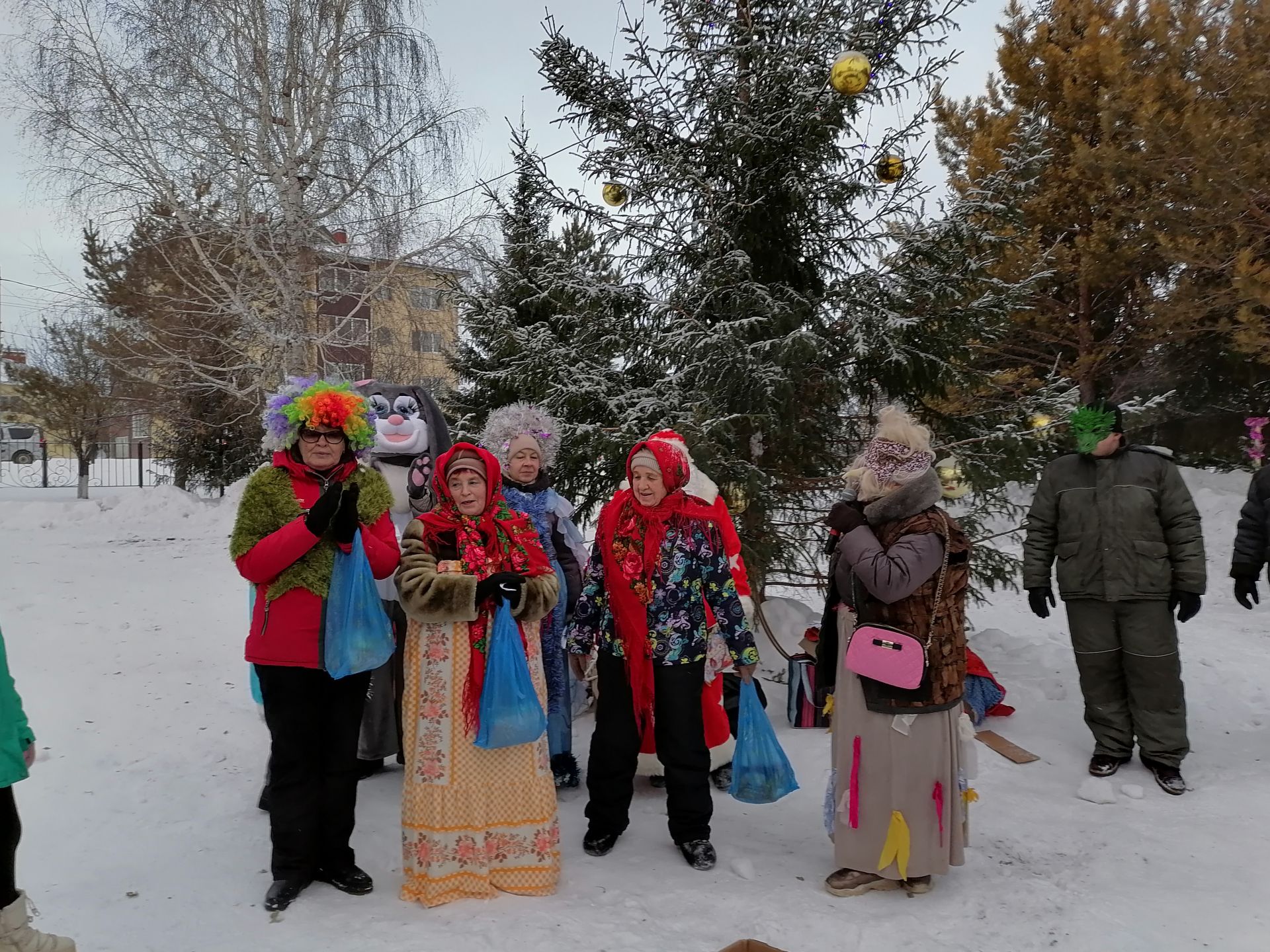 В парке Победы г. Мензелинска прошло новогоднее представление