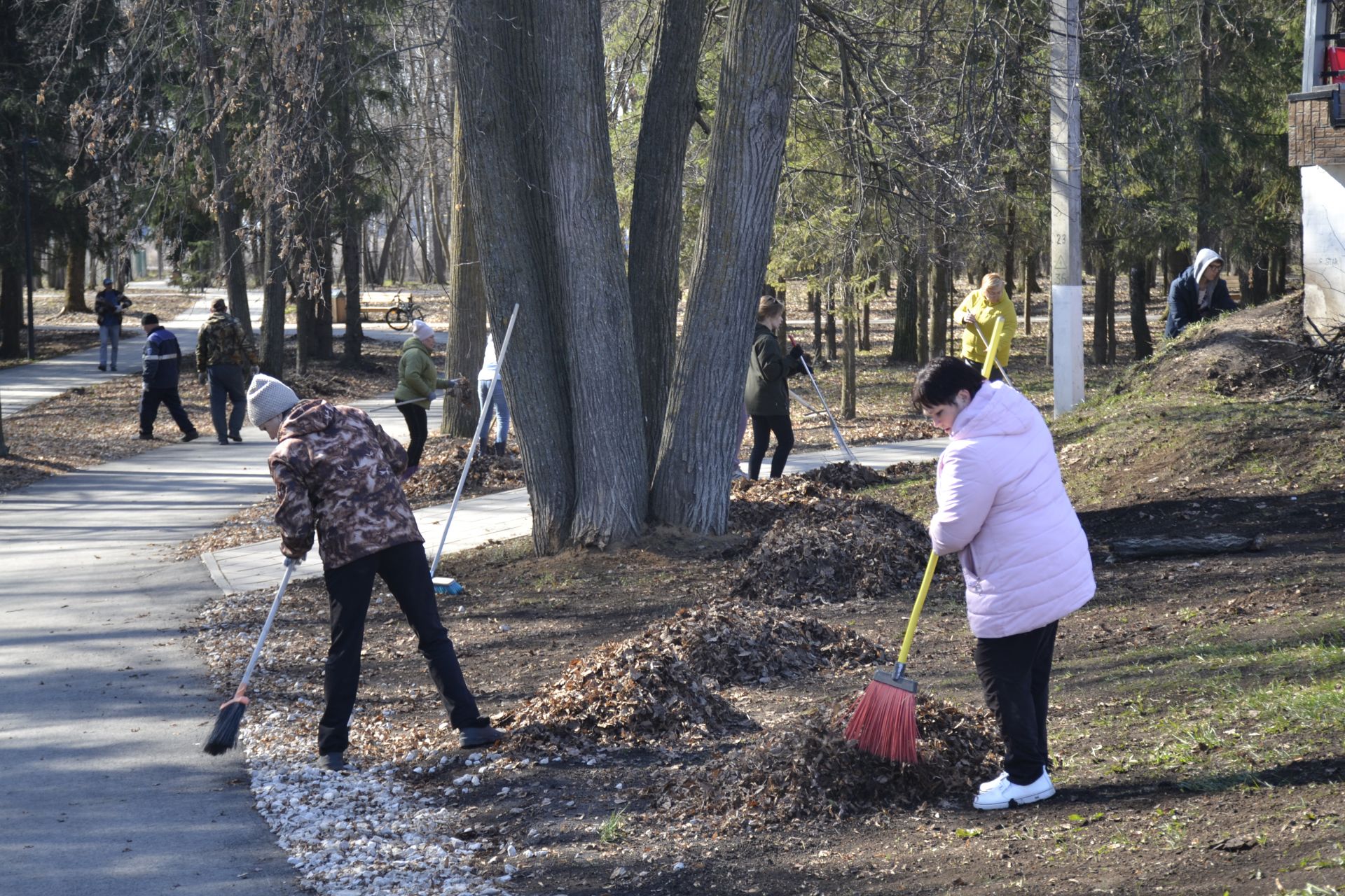 В парке имени Ленина, на территории озера Кучканка прошли субботники.