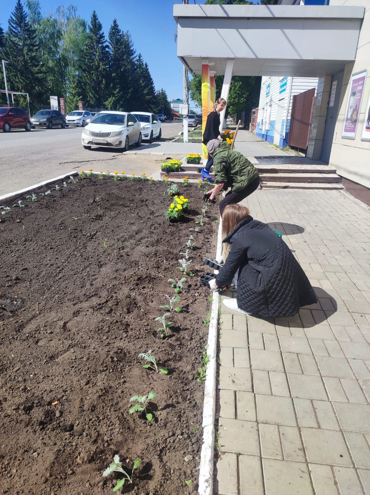 Мензелинск - город цветов