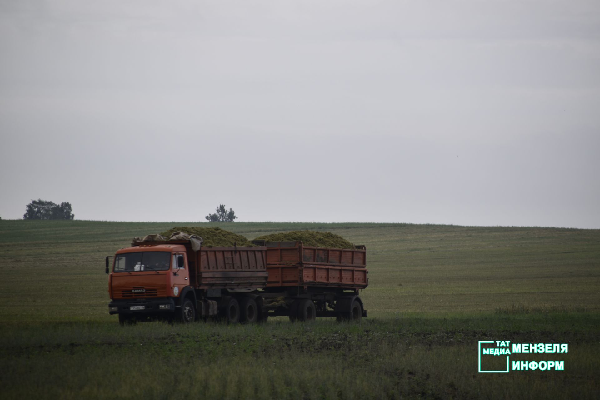 Дневник жатвы-2023: фотомгновения из первого дня августа