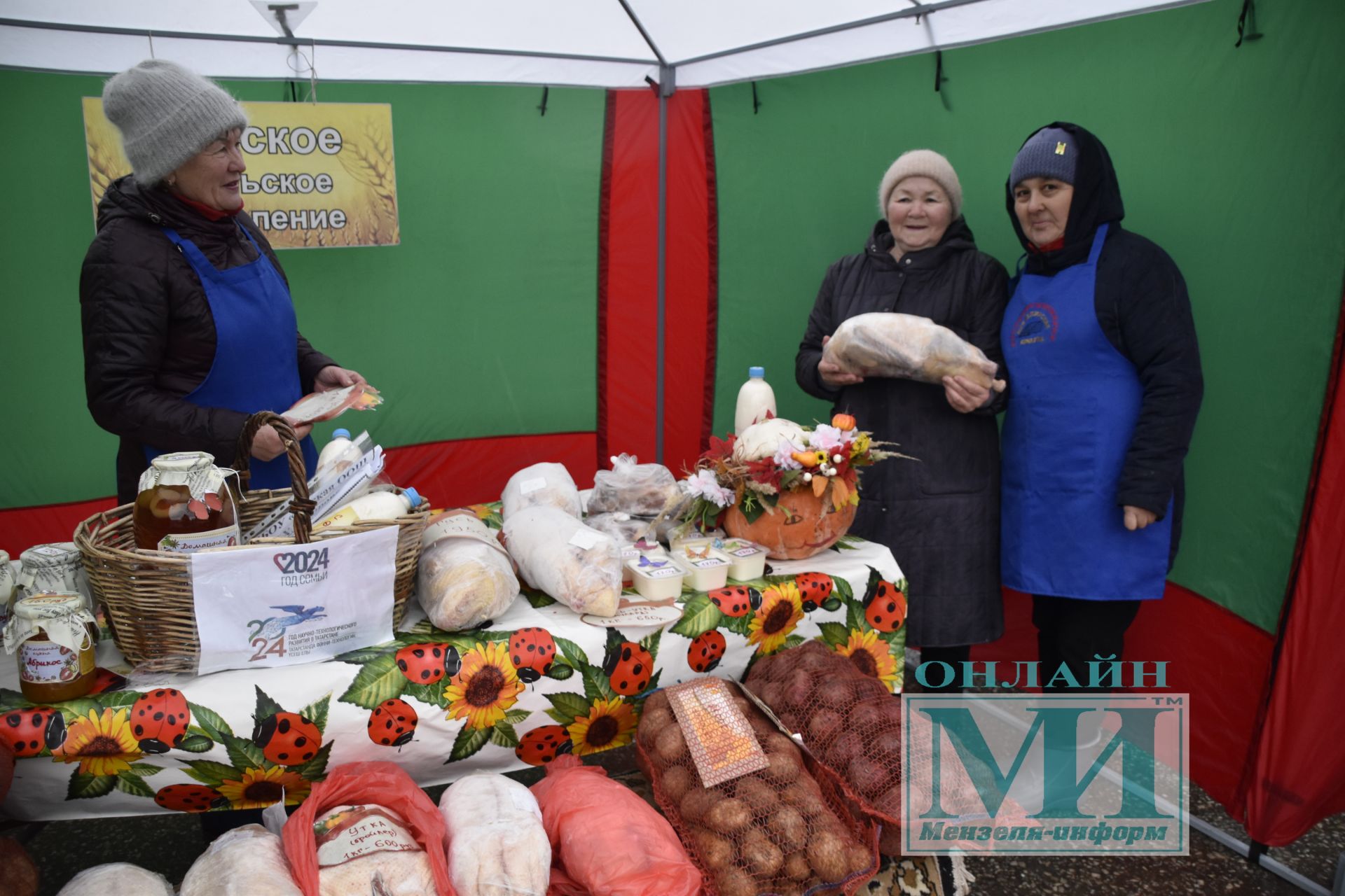 Мгновения праздничной ярмарки в Мензелинске