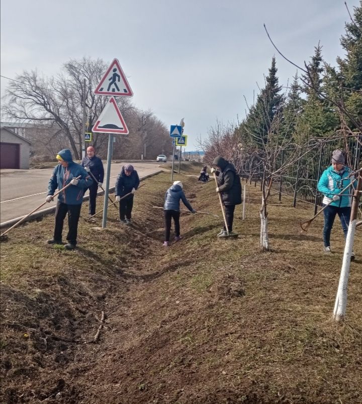 Общими усилиями мензелинцы навели чистоту