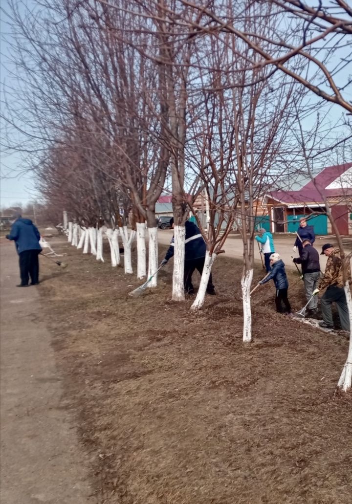 Общими усилиями мензелинцы навели чистоту