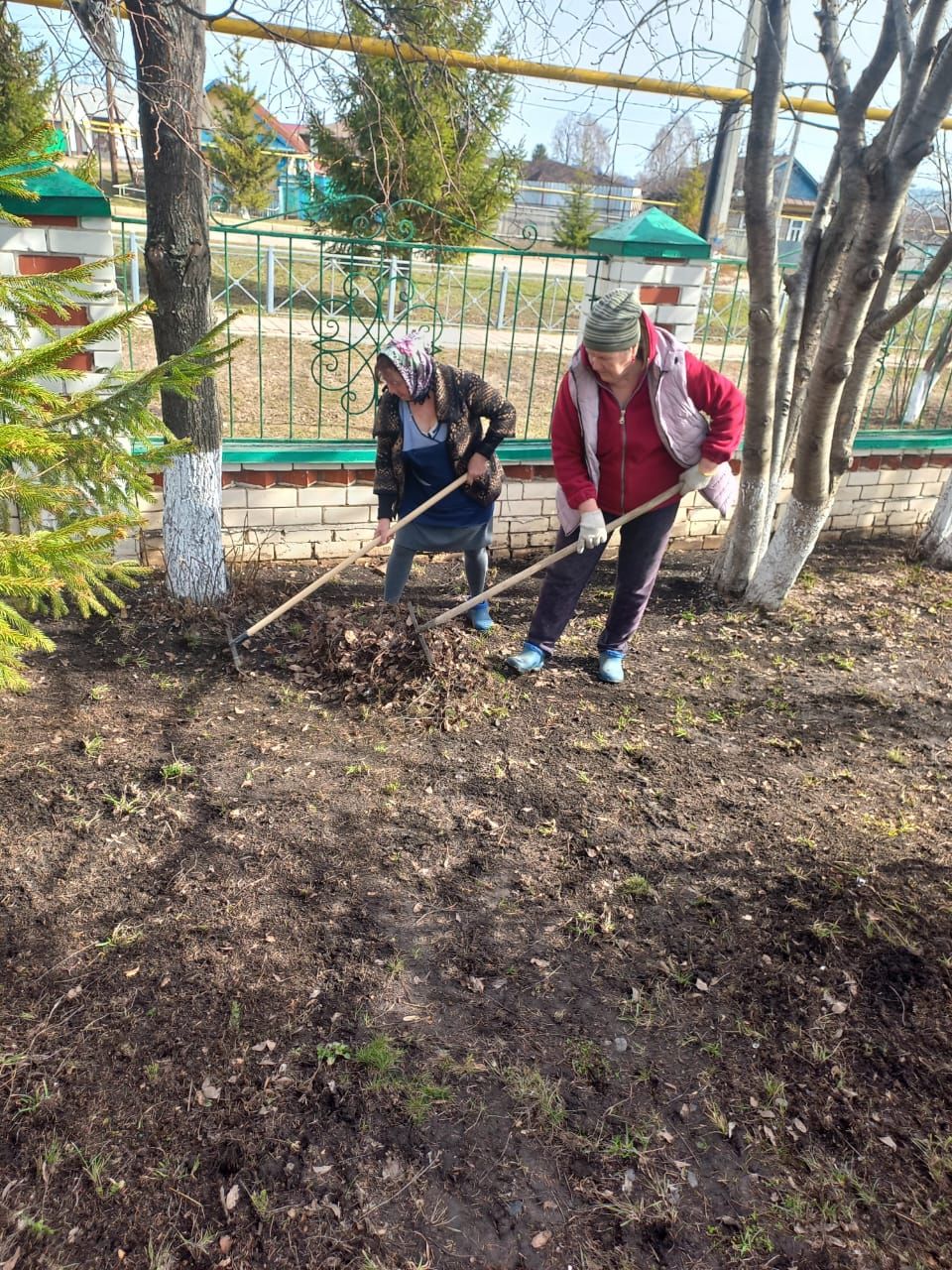 Общими усилиями мензелинцы навели чистоту