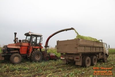 Дневник полевых работ в Мензелинском районе