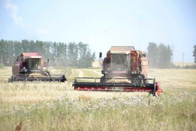 В Мензелинском районе обмолочено 5750 га полей