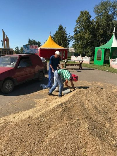 Мензелинцы получают зерно нового урожая за паевые земли