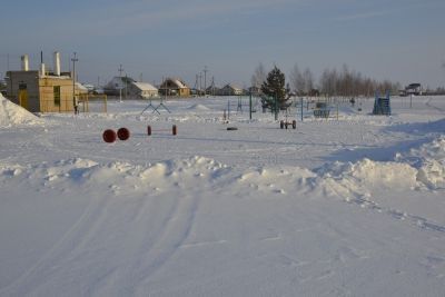 Гримасы хоккейной жизни Мензелинска