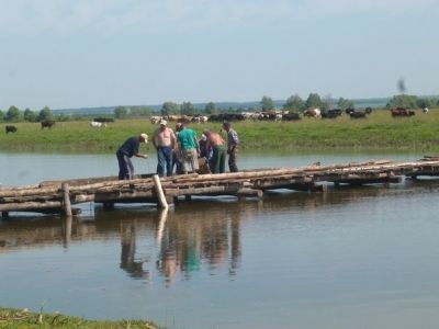 Бикбаулылар күпер сала