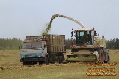 Приступили к закладке сенажа