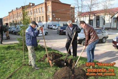 Үз территорияләренә агачлар утырттылар