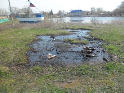 Около Утиного озера вылили жидкость, похожую на мазут