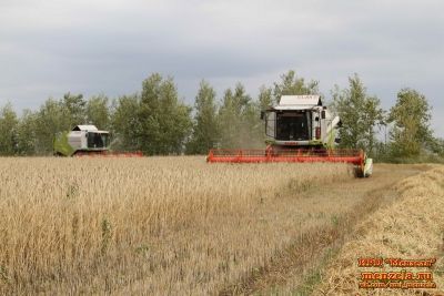 Уборка в Мензелинском районе продолжается