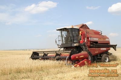 В Мензелинском районе закончилась уборка зерновых