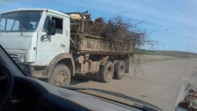 Машиналар чүп тарата...