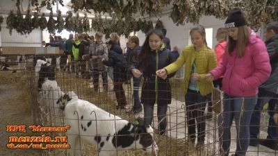 В Мензелинском районе к сельскохозяйственным профессиям начали готовить со школьной скамьи